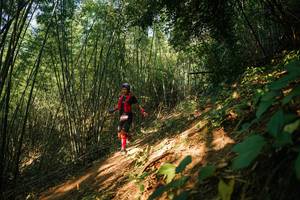 BIB: 
                            <button type="button" onclick="openModal(28141288)" class="btn btn-primary btn-sm float-right btn-popup" data-toggle="modal" data-target=".modal-high-quality">
                        <i class="fas fa-shopping-cart"></i> Add to Cart
                    </button>
                                            <button type="button" onclick="isThisMe(28141288, true)" class="btn btn-success btn-sm float-right btn-popup btn-isme hidden" data-toggle="tooltip" data-placement="bottom" title="นี่คือรูปของคุณใช่ไหม คลิกที่นี่เพื่อเอาเข้าอัลบั้ม">
                        <i class="fas fa-plus"></i> Add to album
                    </button>
                    <button type="button" onclick="isThisMe(28141288, false)" class="btn btn-warning btn-sm float-right btn-popup btn-isnotme hidden">
                        <i class="fas fa-ban"></i> Remove from album
                    </button>